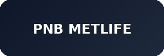 PNB Metlife